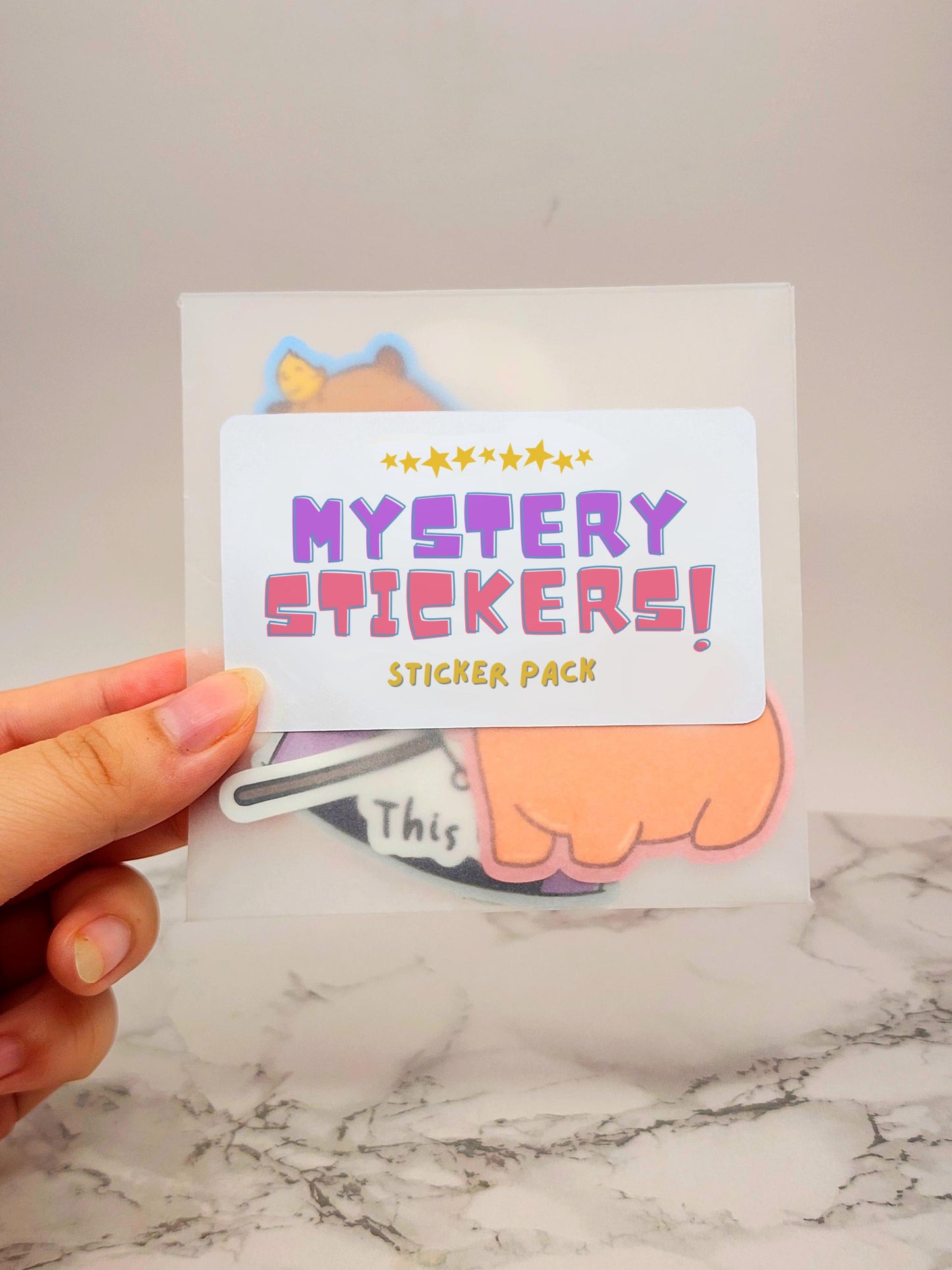 Mystery Vinyl Sticker Pack - 5 Stickers