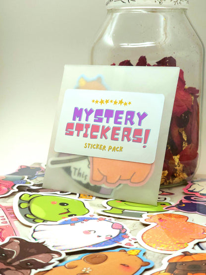 Mystery Vinyl Sticker Pack - 5 Stickers